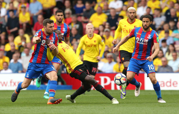 目光和灵活 目光和灵活